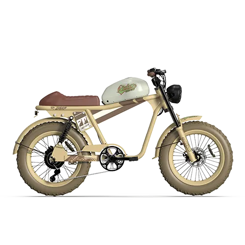 TIGER RE Retro Electric Bike