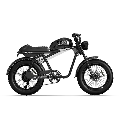 TIGER RE Retro Electric Bike