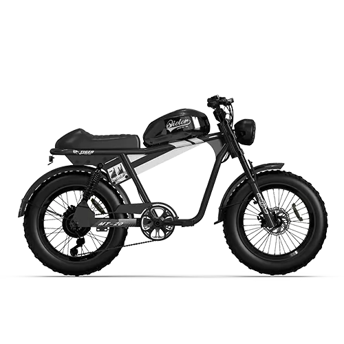 TIGER RE Retro Electric Bike