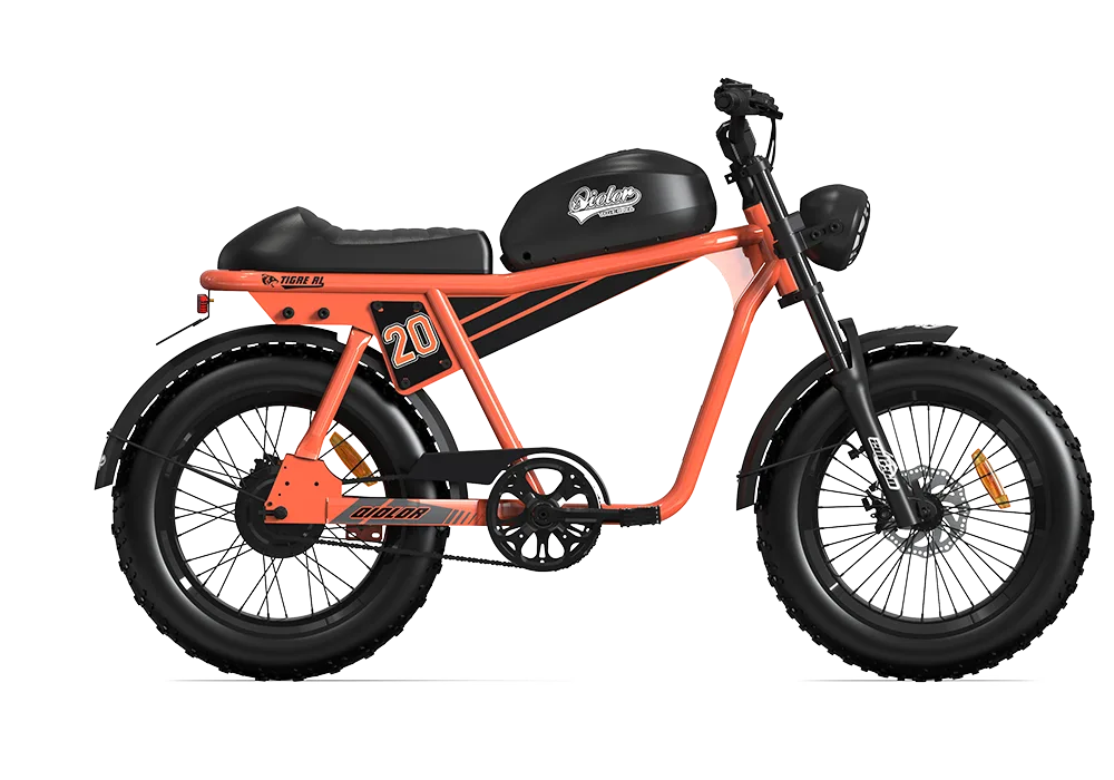 TIGER RL Electric Cruiser Bike