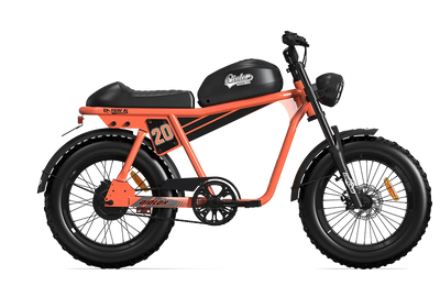 TIGER RL Electric Cruiser Bike