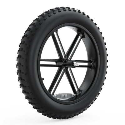 Tesway Complete Front Wheel