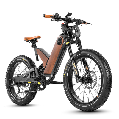 Eahora P5 II 24-Inch Fat-Tire Electric Bike