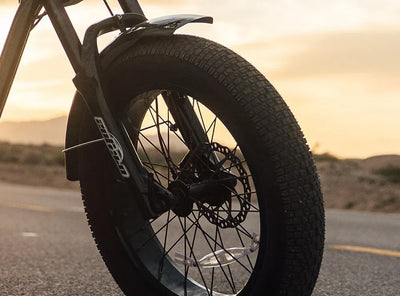 Qiolor Tiger INNOVA 20 x 4.0 inch front tire and brake at sunset