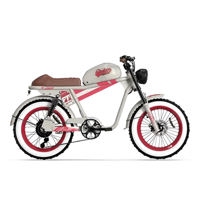 TIGER RE Retro Electric Bike