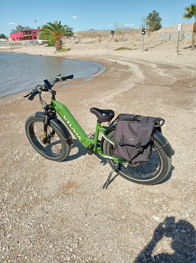 A green VTUVIA SX20 with panniers on a lake shore