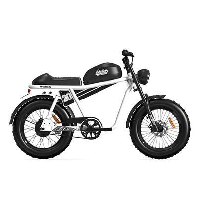 TIGER RL Electric Cruiser Bike