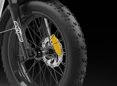 Qiolor Tiger front disc brake and CHAOYANG 20 x 4.0 inch fat tire