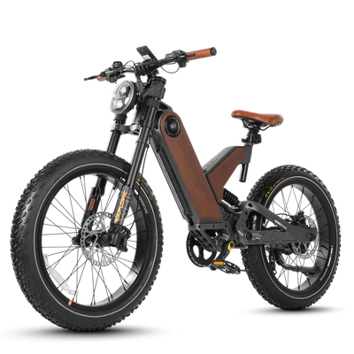 Eahora P5 II 24-Inch Fat-Tire Electric Bike