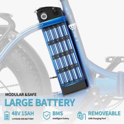 Ridstar MN20 1000W Fat Tire Folding Electric Bikes