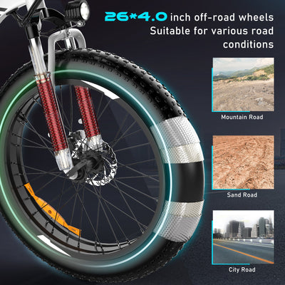 BK15M 4.0 Electric Bike