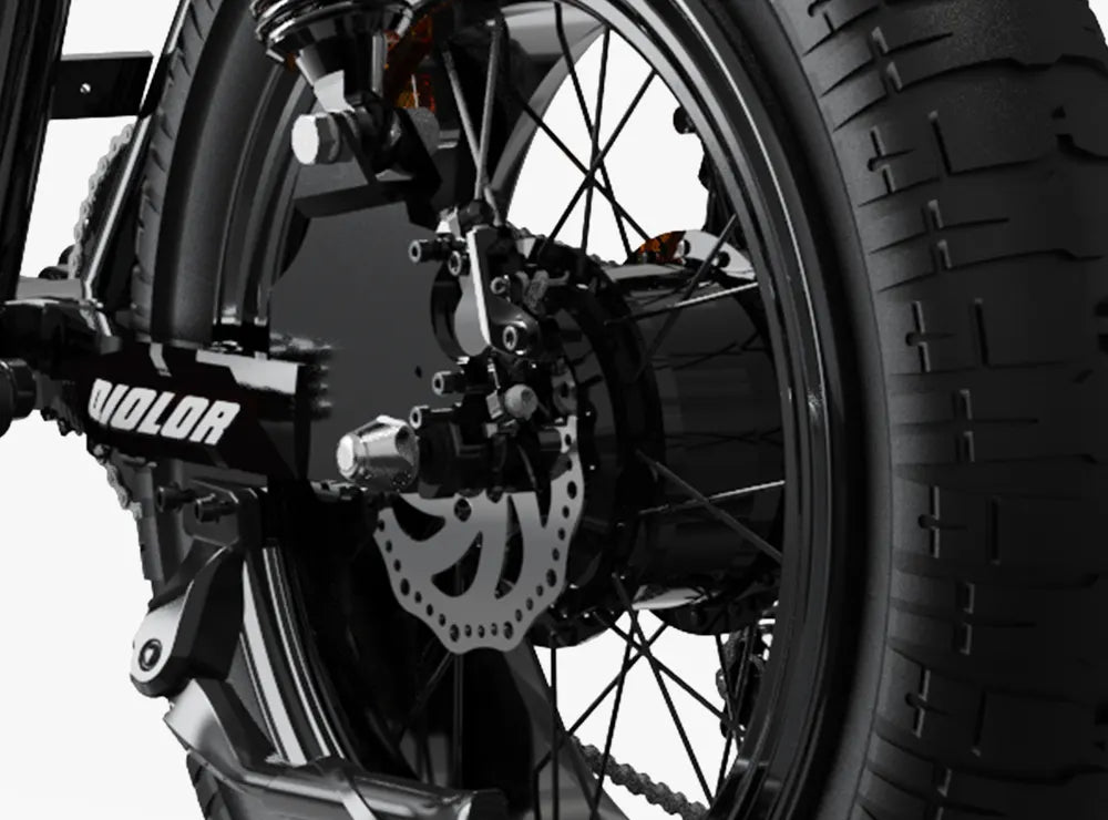 Qiolor NOVA rear wheel, disc rotor and hub motor