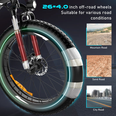 BK15M 4.0 Electric Bike