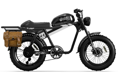 TIGER RE Retro Electric Bike