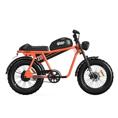 TIGER RL Electric Cruiser Bike