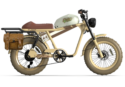 TIGER RE Retro Electric Bike