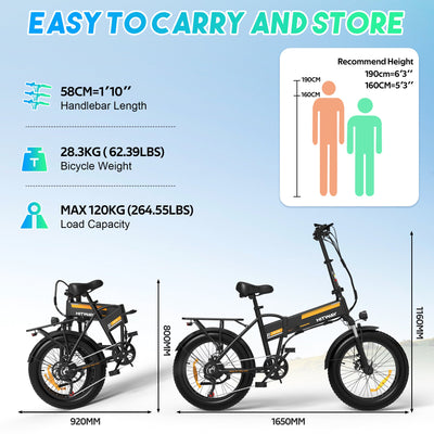 BK10M Folding Electric Bike