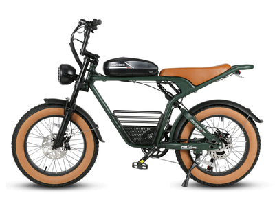 Samebike M20 Retro Off-Road Electric Bike