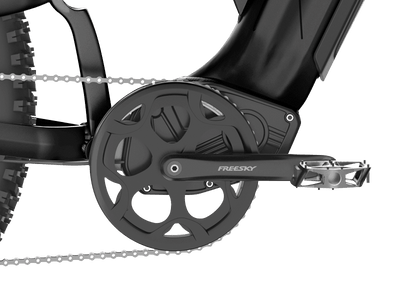 Freesky Crank Set