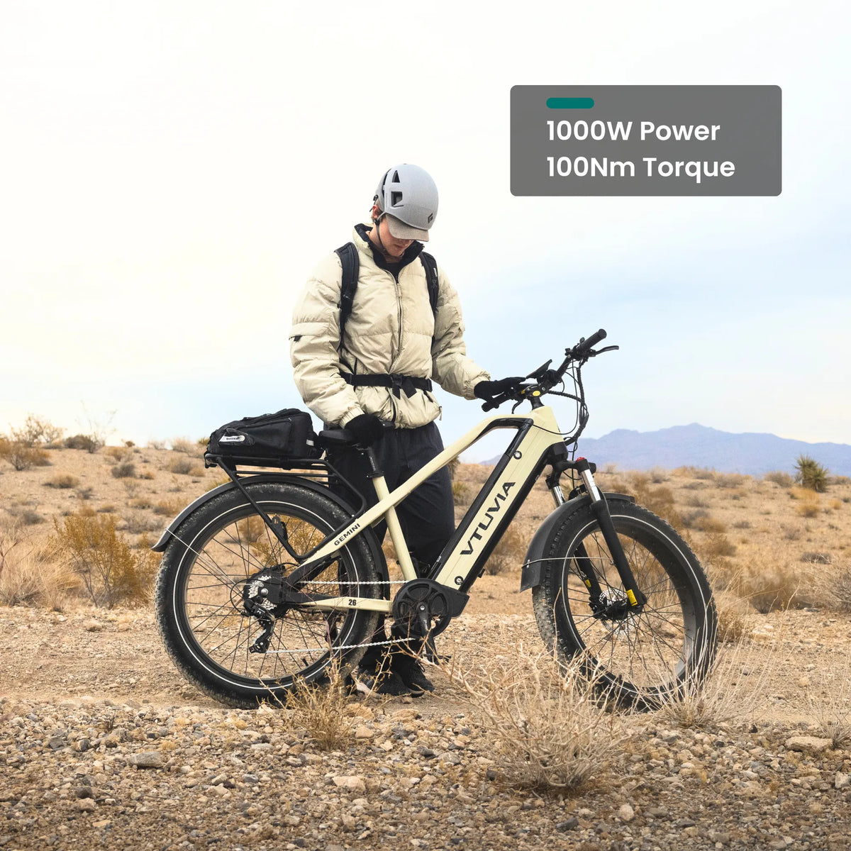 Rider standing with a cream Gemini on a desert trail