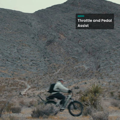 Rider on a Gemini on a rocky desert hillside