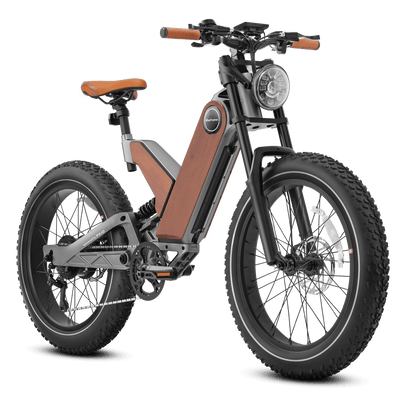 Eahora P5 Plus 24-Inch Fat-Tire Electric Bike