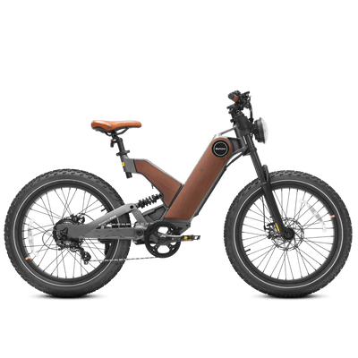 Eahora P5 Plus 24-Inch Fat-Tire Electric Bike