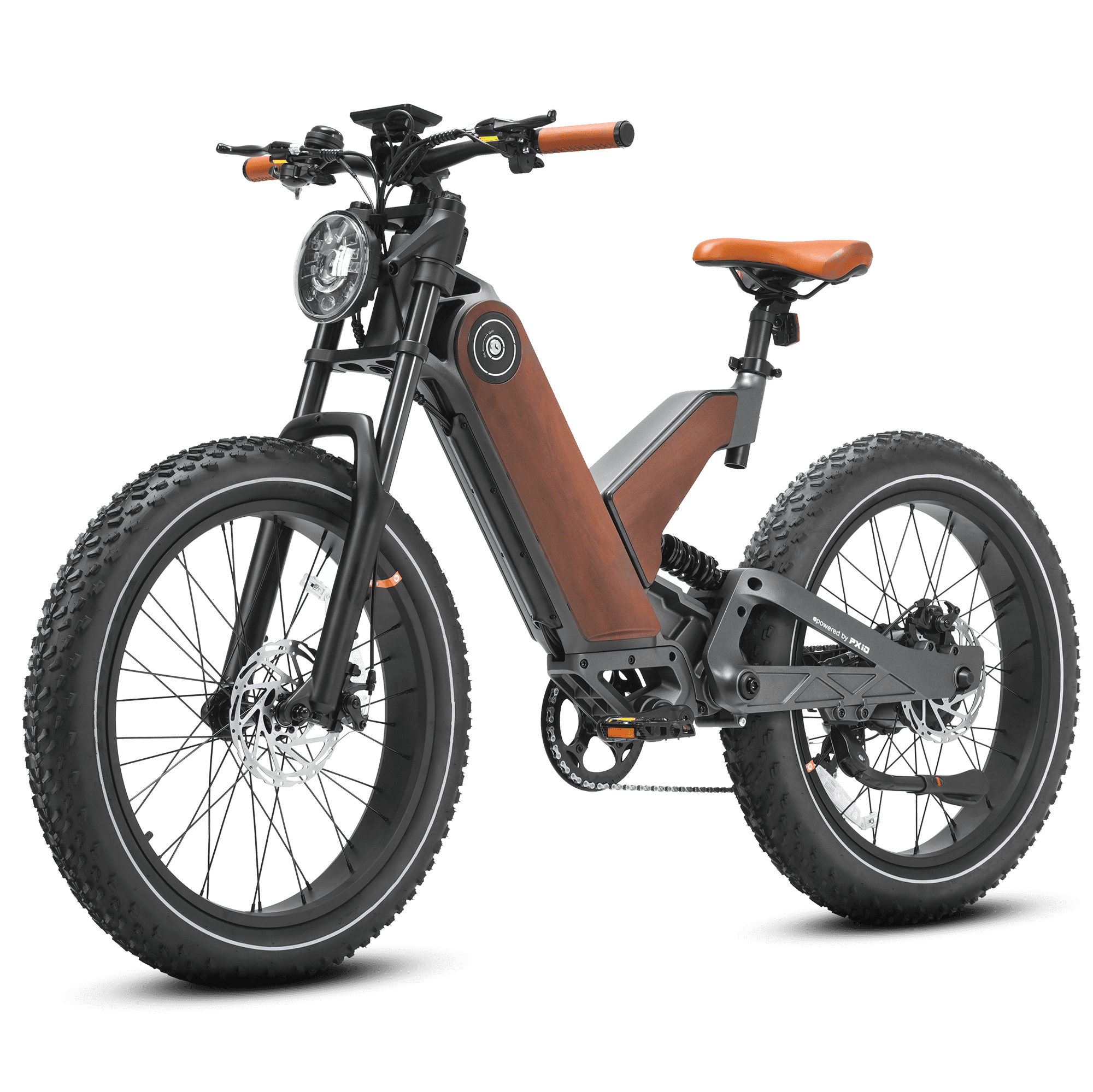 Eahora P5 Moped-Style eBike – gallery