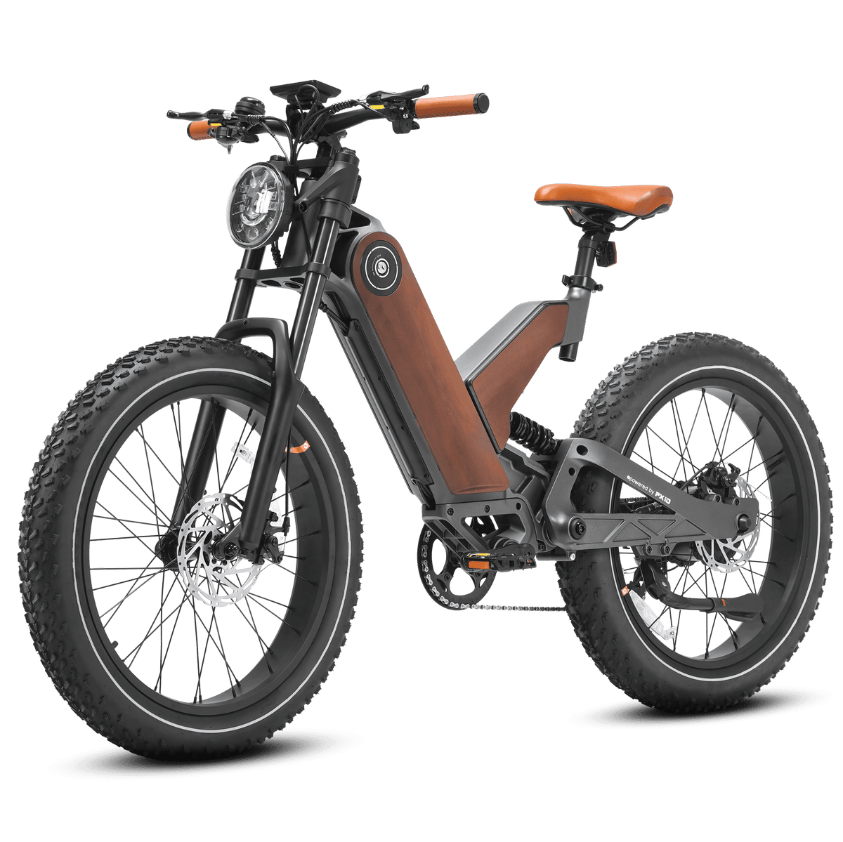 Eahora P5 Plus 24-Inch Fat-Tire Electric Bike