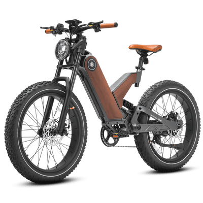 Eahora P5 Plus 24-Inch Fat-Tire Electric Bike