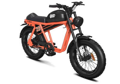TIGER RL Electric Cruiser Bike