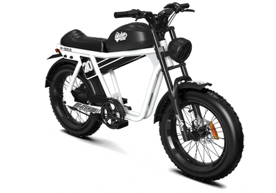 TIGER RL Electric Cruiser Bike