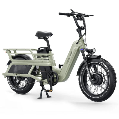 Tesway C5 AWD Longtail Cargo Electric Bike, Dual Motor, 450 lb Payload