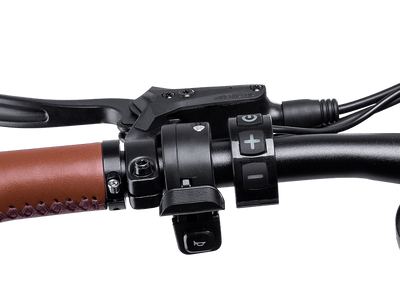 Freesky Thumb Throttle