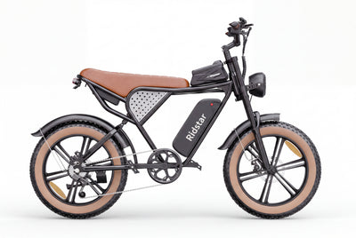 Ridstar® Q20Luxe Lite 1000W Fat Tire Ebike