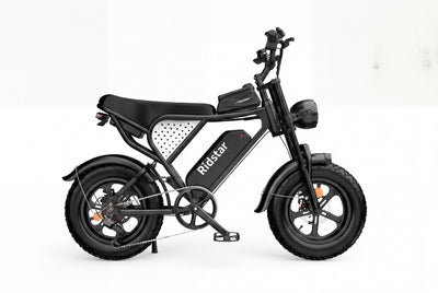 Ridstar® Q16 1500W Fat Tire Electric Bicycle