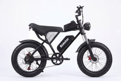 Ridstar® Q20 1500W Fat Tire Electric Mountain Motorcycles