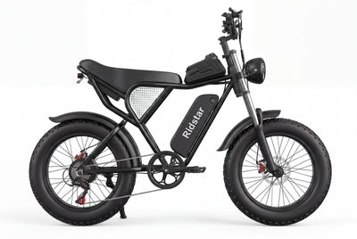 Ridstar® Q30 2000W 48V 20AH Fat Tire Ebike