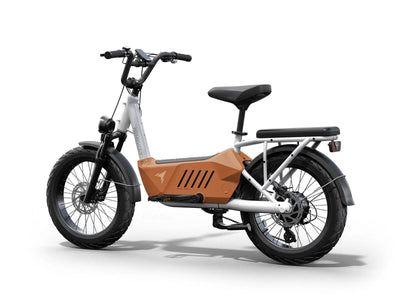 Himiway C3 Cargo eBike in Orange – right side profile