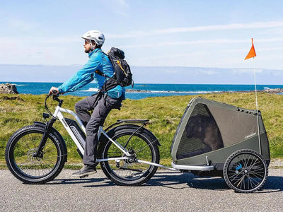 Himiway D3 Cruiser eBike – lifestyle