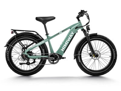 Himiway D5 Zebra in Green – Step-over