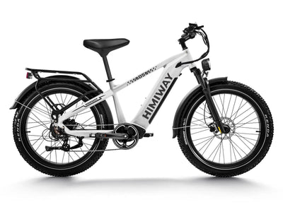 Himiway D5 Zebra in White – Step-over
