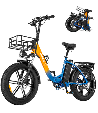 Ridstar MN20 1000W Fat Tire Folding Electric Bikes