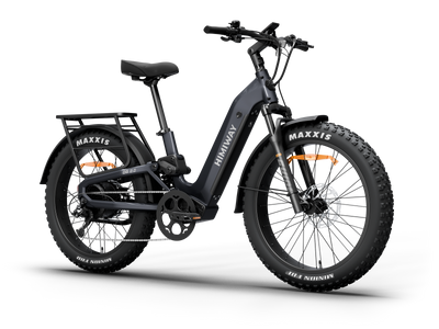 Himiway D5 <sup> 2.0</sup> ST eBike