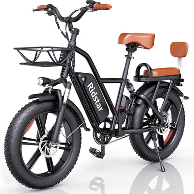 Ridstar® FM001 2-Seater Fat Tire Electric Bike