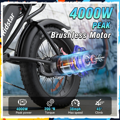 Ridstar® Q30Pro 3000W Fat Tire Ebike
