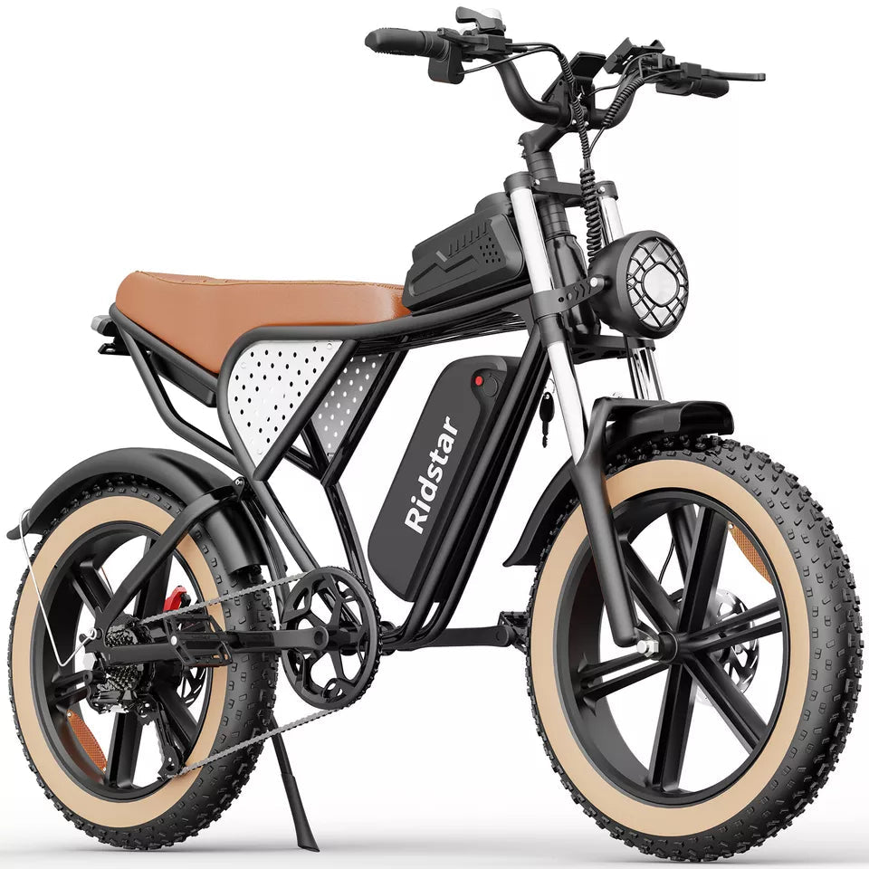 Ridstar® Q20Luxe 1500W 48V 20Ah Battery 20''Fat Tire Mountain Electric Bike for Adult