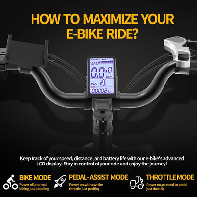 Ridstar® Q20Pro 2000W Fat Tire Ebike
