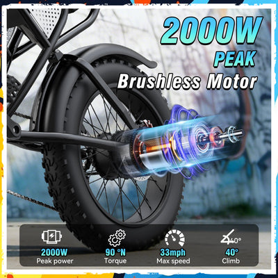 Ridstar® Q30 2000W 48V 20AH Fat Tire Ebike