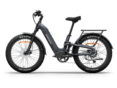 Himiway D5 <sup> 2.0</sup> ST eBike